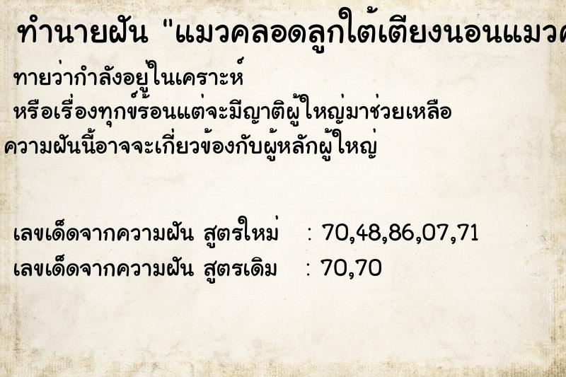 ทำนายฝันแมวคลอดลูกใต้เตียงนอนแมวคลอดลูกใต้เตียงนอน ทำนายฝันทำนายฝันแมวคลอดลูกใต้เตียงนอนแมวคลอดลูกใต้เตียงนอน
