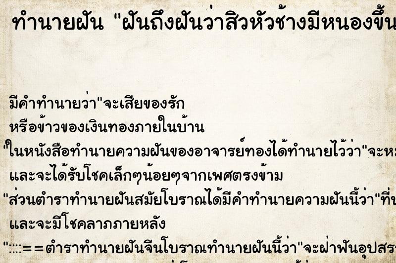 ทำนายฝัน ฝันถึงฝันว่าสิวหัวช้างมีหนองขึ้นเต็มหน้า ทำนายฝัน ฝันถึงฝันว่าสิวหัวช้างมีหนองขึ้นเต็มหน้า