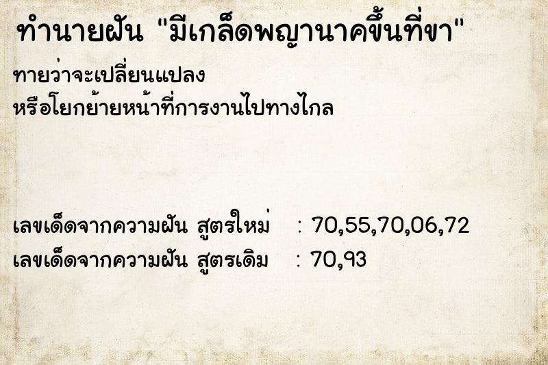 ทำนายฝันมีเกล็ดพญานาคขึ้นที่ขา ทำนายฝันทำนายฝันมีเกล็ดพญานาคขึ้นที่ขา