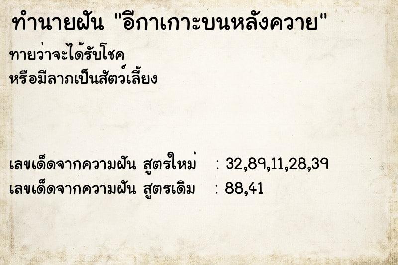 ทำนายฝันทำนายฝันอีกาเกาะบนหลังควาย