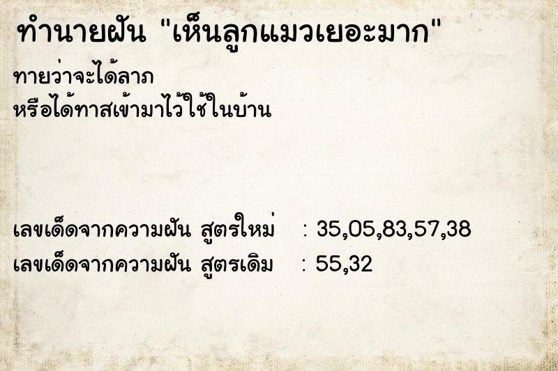 ทำนายฝัน เห็นลูกแมวเยอะมาก ทำนายฝัน เห็นลูกแมวเยอะมาก
