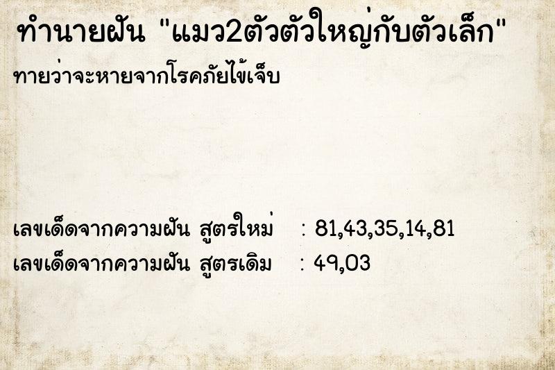 ทำนายฝัน แมว2ตัวตัวใหญ่กับตัวเล็ก ตำราโบราณ แม่นที่สุดในโลก