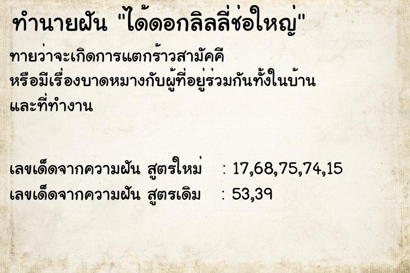 ทำนายฝัน ได้ดอกลิลลี่ช่อใหญ่