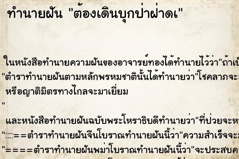 ทำนายฝันต้องเดินบุกป่าฝ่าดà ทำนายฝันทำนายฝันต้องเดินบุกป่าฝ่าดà