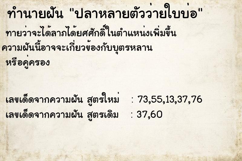 ทำนายฝัน ปลาหลายตัวว่ายใบบ่อ ทำนายฝัน ปลาหลายตัวว่ายใบบ่อ