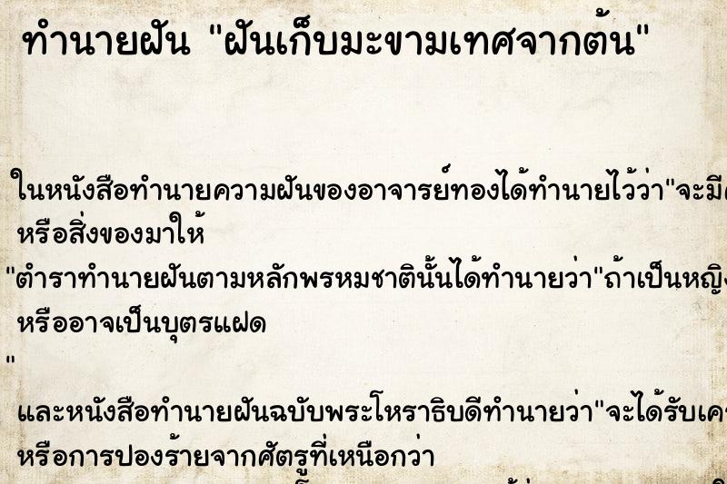 ทำนายฝันทำนายฝันฝันเก็บมะขามเทศจากต้น