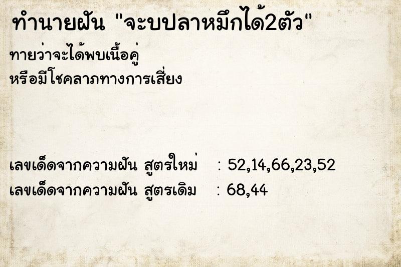 ทำนายฝันทำนายฝันจะบปลาหมึกได้2ตัว