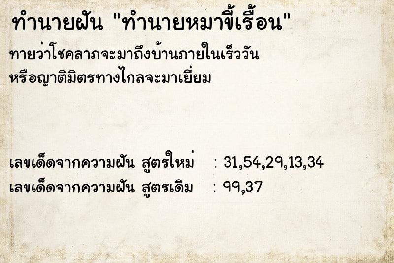ทำนายฝันทำนายหมาขี้เรื้อน ทำนายฝันทำนายฝันทำนายหมาขี้เรื้อน