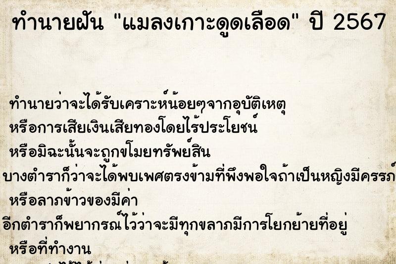 ทำนายฝันทำนายฝันแมลงเกาะดูดเลือด