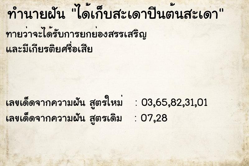 ทำนายฝันทำนายฝันได้เก็บสะเดาปีนต้นสะเดา