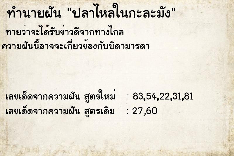 ทำนายฝัน ปลาไหลในกะละมัง ทำนายฝัน ปลาไหลในกะละมัง