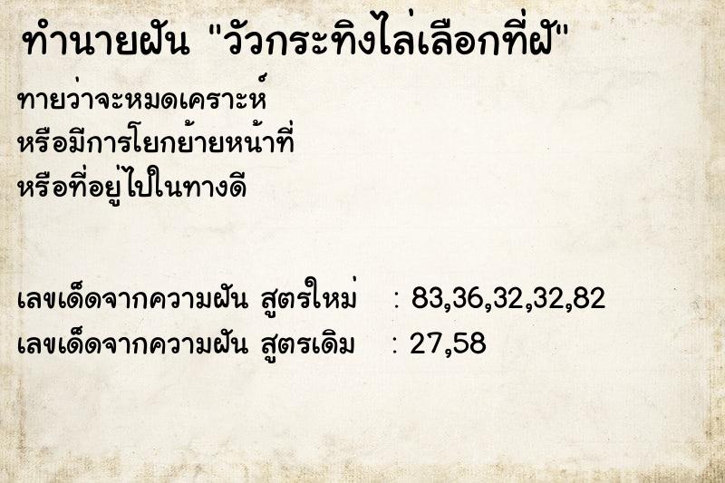 ทำนายฝัน วัวกระทิงไล่เลือกที่ฝั ทำนายฝัน วัวกระทิงไล่เลือกที่ฝั