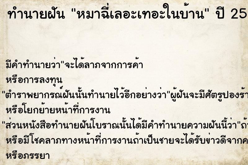ทำนายฝันหมาฉี่เลอะเทอะในบ้าน ทำนายฝันทำนายฝันหมาฉี่เลอะเทอะในบ้าน