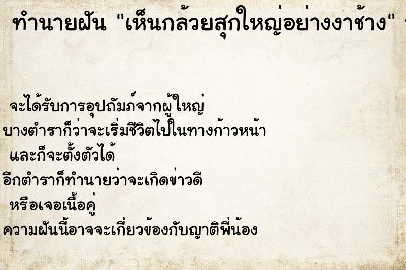 ทำนายฝัน เห็นกล้วยสุกใหญ่อย่างงาช้าง ทำนายฝัน เห็นกล้วยสุกใหญ่อย่างงาช้าง