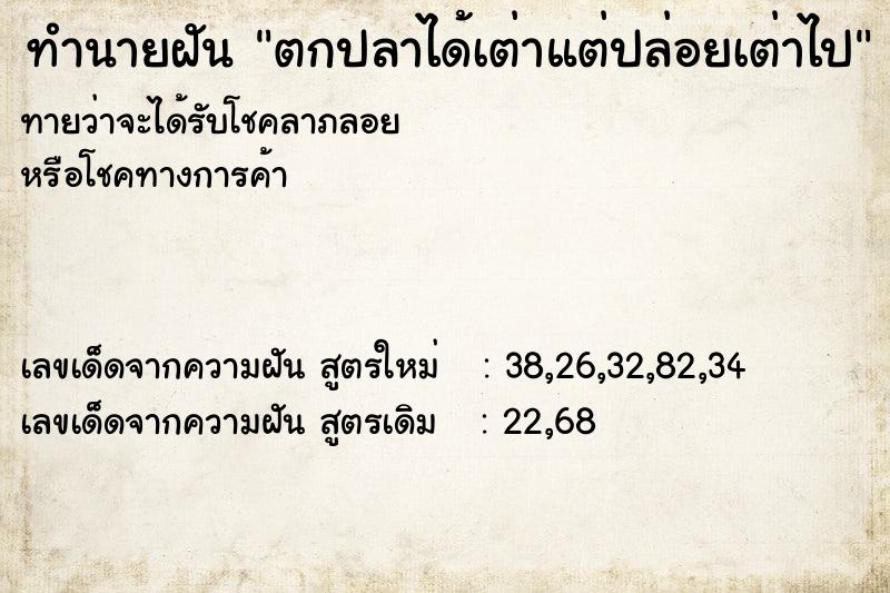 ทำนายฝันตกปลาได้เต่าแต่ปล่อยเต่าไป ทำนายฝันทำนายฝันตกปลาได้เต่าแต่ปล่อยเต่าไป