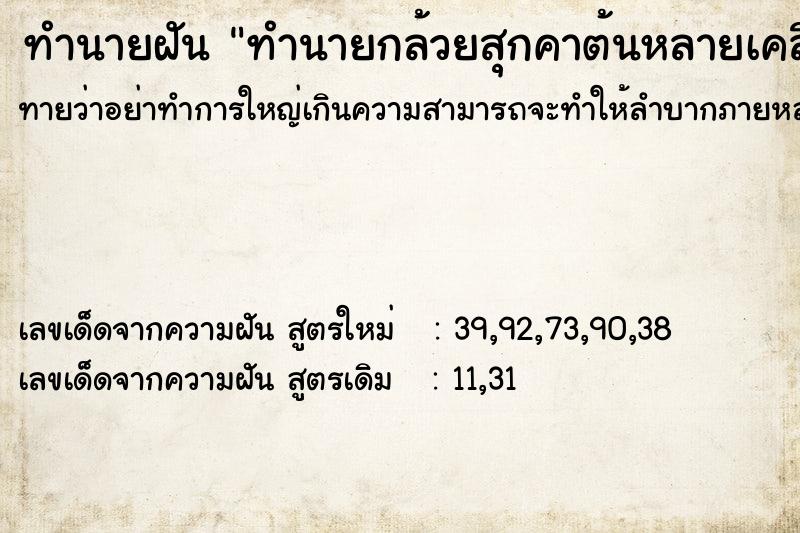 ทำนายฝันทำนายฝันทำนายกล้วยสุกคาต้นหลายเคลือ
