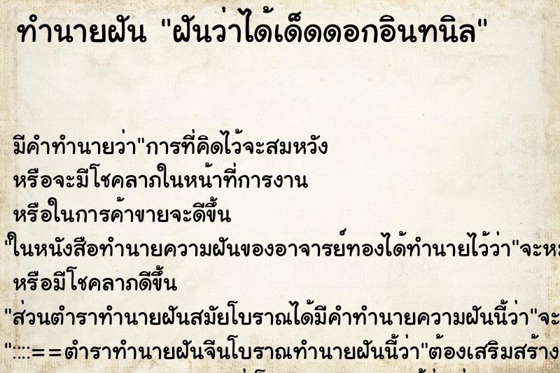 ทำนายฝัน ฝันว่าได้เด็ดดอกอินทนิล ตำราโบราณ แม่นที่สุดในโลก