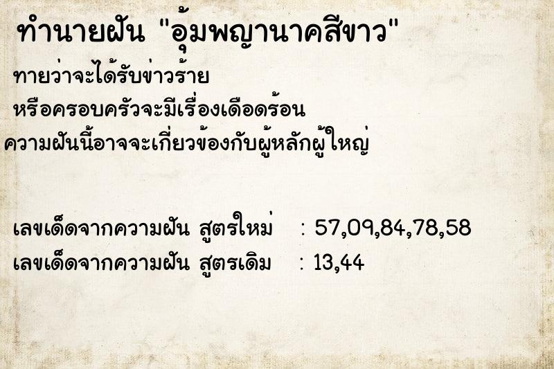ทำนายฝันทำนายฝันอุ้มพญานาคสีขาว