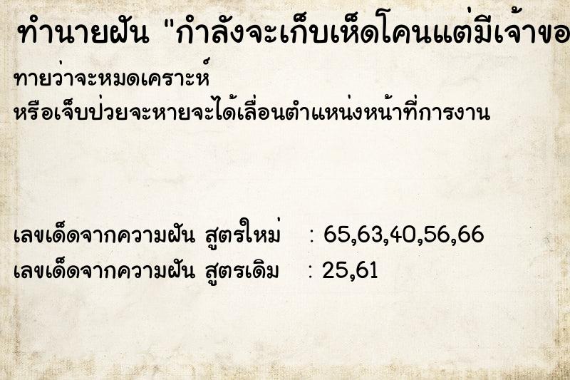 ทำนายฝันทำนายฝันกำลังจะเก็บเห็ดโคนแต่มีเจ้าของ