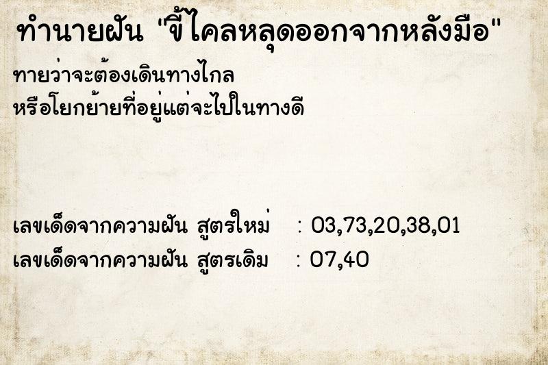 ทำนายฝันทำนายฝันขี้ไคลหลุดออกจากหลังมือ