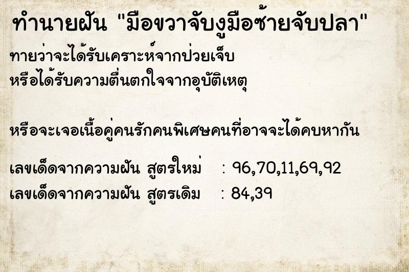 ทำนายฝันมือขวาจับงูมือซ้ายจับปลา ทำนายฝันทำนายฝันมือขวาจับงูมือซ้ายจับปลา