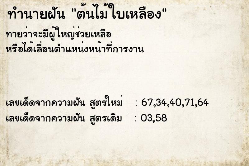 ทำนายฝันต้นไม้ใบเหลือง ทำนายฝันทำนายฝันต้นไม้ใบเหลือง