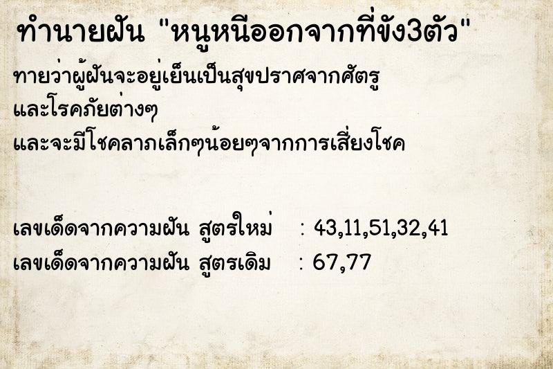 ทำนายฝันหนูหนีออกจากที่ขัง3ตัว ทำนายฝันทำนายฝันหนูหนีออกจากที่ขัง3ตัว
