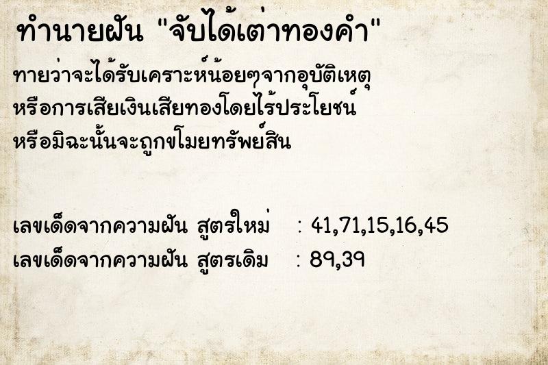 ทำนายฝันจับได้เต่าทองคำ ทำนายฝันทำนายฝันจับได้เต่าทองคำ