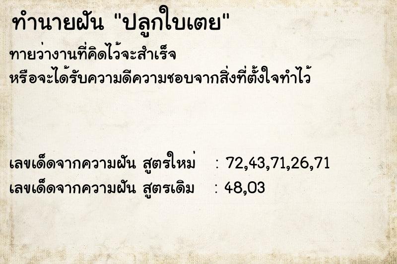 ทำนายฝันทำนายฝันปลูกใบเตย