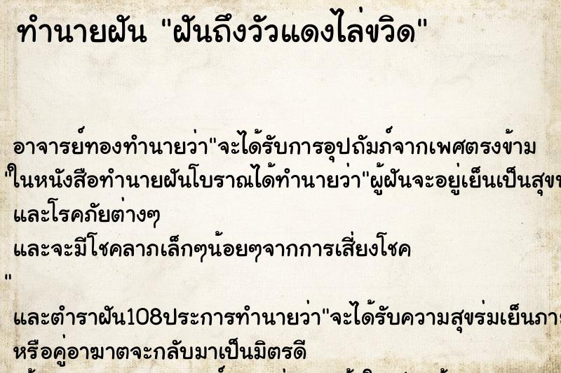 ทำนายฝันฝันถึงวัวแดงไล่ขวิด ทำนายฝันทำนายฝันฝันถึงวัวแดงไล่ขวิด