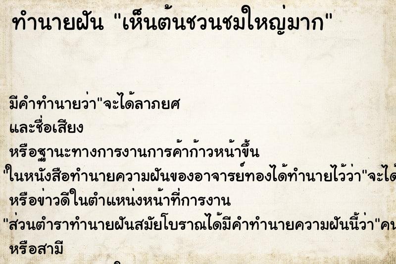ทำนายฝัน เห็นต้นชวนชมใหญ่มาก ทำนายฝัน เห็นต้นชวนชมใหญ่มาก