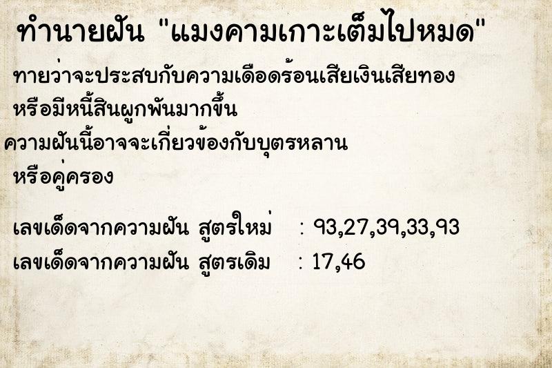 ทำนายฝัน แมงคามเกาะเต็มไปหมด ทำนายฝัน แมงคามเกาะเต็มไปหมด