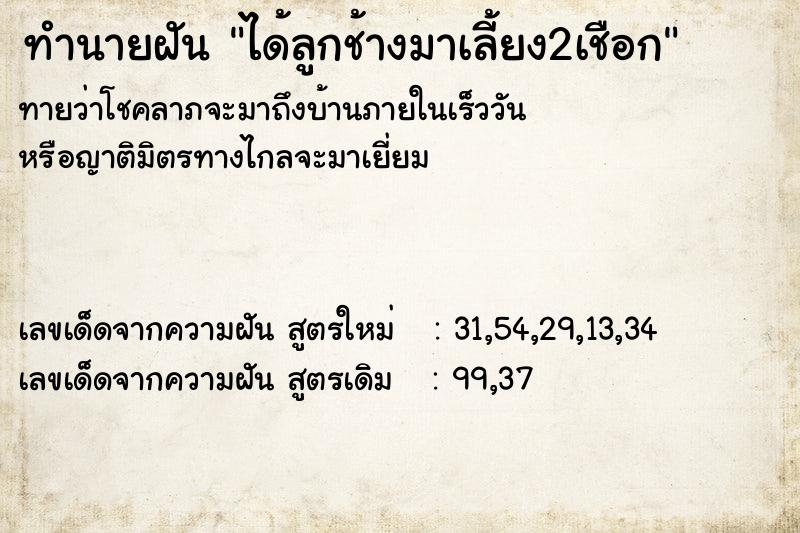 ทำนายฝันทำนายฝันได้ลูกช้างมาเลี้ยง2เชือก