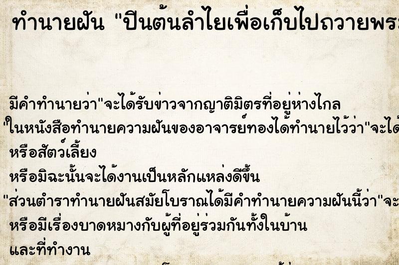 ทำนายฝัน ปีนต้นลำไยเพื่อเก็บไปถวายพระ ทำนายฝัน ปีนต้นลำไยเพื่อเก็บไปถวายพระ