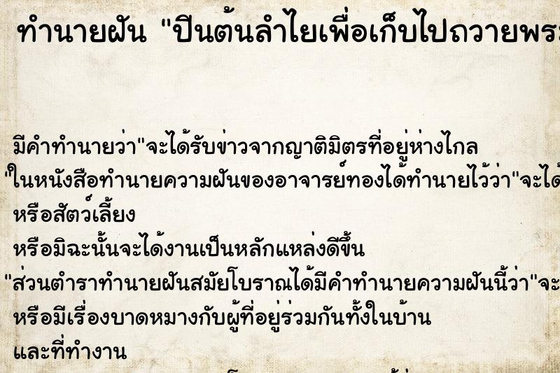 ทำนายฝัน ปีนต้นลำไยเพื่อเก็บไปถวายพระ ตำราโบราณ แม่นที่สุดในโลก