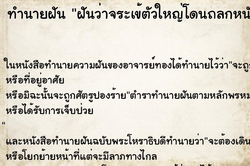 ทำนายฝันทำนายฝันฝันว่าจระเข้ตัวใหญ่โดนถลกหนัง