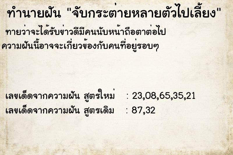 ทำนายฝันทำนายฝันจับกระต่ายหลายตัวไปเลี้ยง