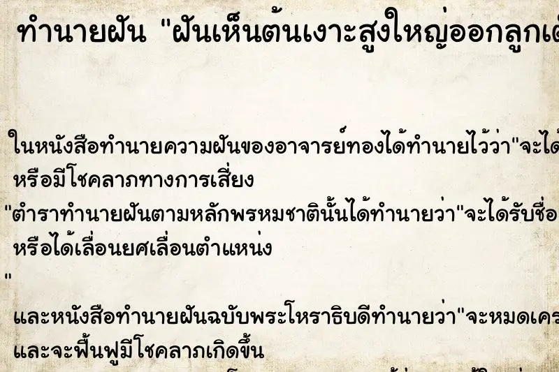 ทำนายฝัน ฝันเห็นต้นเงาะสูงใหญ่ออกลูกเต็มต้น ตำราโบราณ แม่นที่สุดในโลก