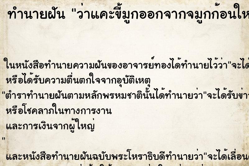 ทำนายฝัน ว่าแคะขี้มูกออกจากจมูกก้อนใหญ่มาก ทำนายฝัน ว่าแคะขี้มูกออกจากจมูกก้อนใหญ่มาก