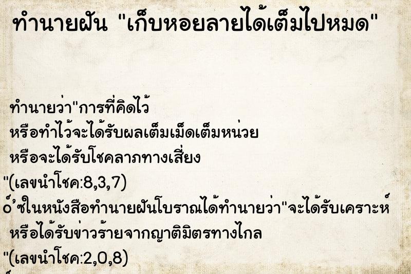 ทำนายฝัน เก็บหอยลายได้เต็มไปหมด