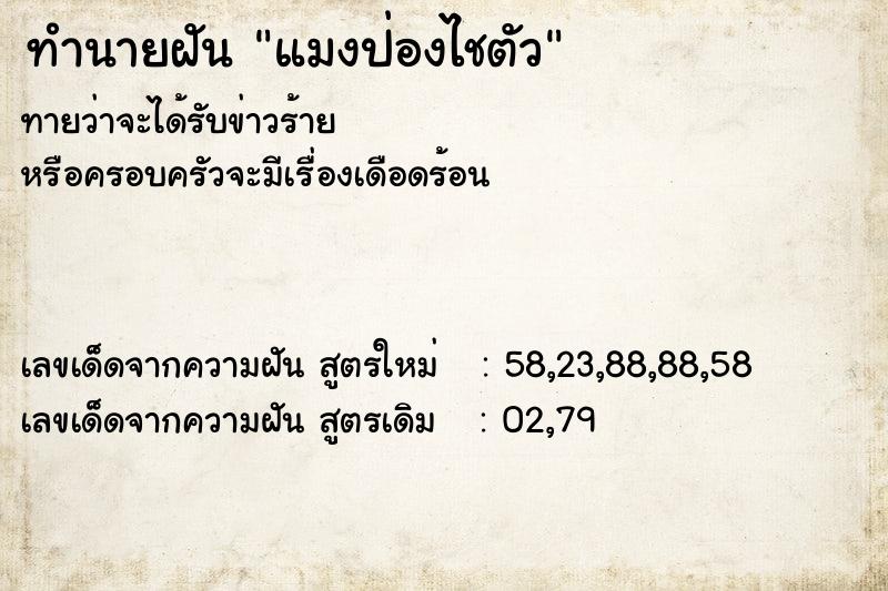 ทำนายฝันทำนายฝันแมงป่องไชตัว
