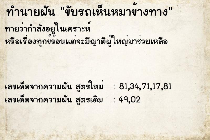 ทำนายฝันขับรถเห็นหมาข้างทาง ทำนายฝันทำนายฝันขับรถเห็นหมาข้างทาง