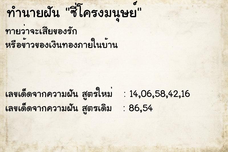 ทำนายฝันซี่โครงมนุษย์ ทำนายฝันทำนายฝันซี่โครงมนุษย์