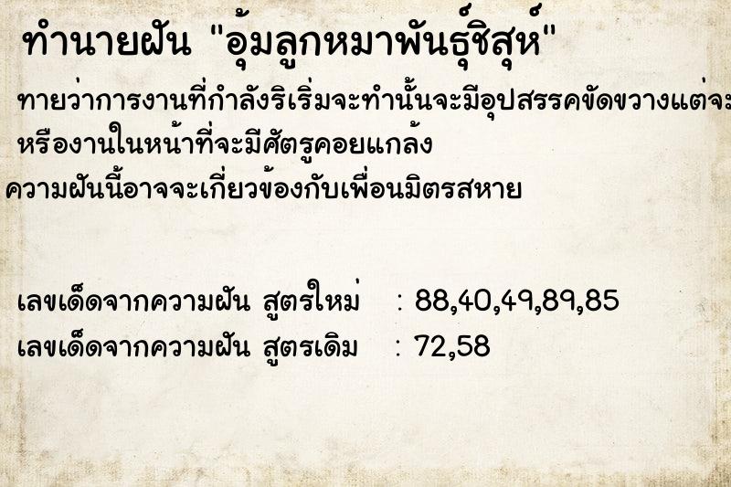 ทำนายฝันทำนายฝันอุ้มลูกหมาพันธุ์​ชิสุห์​