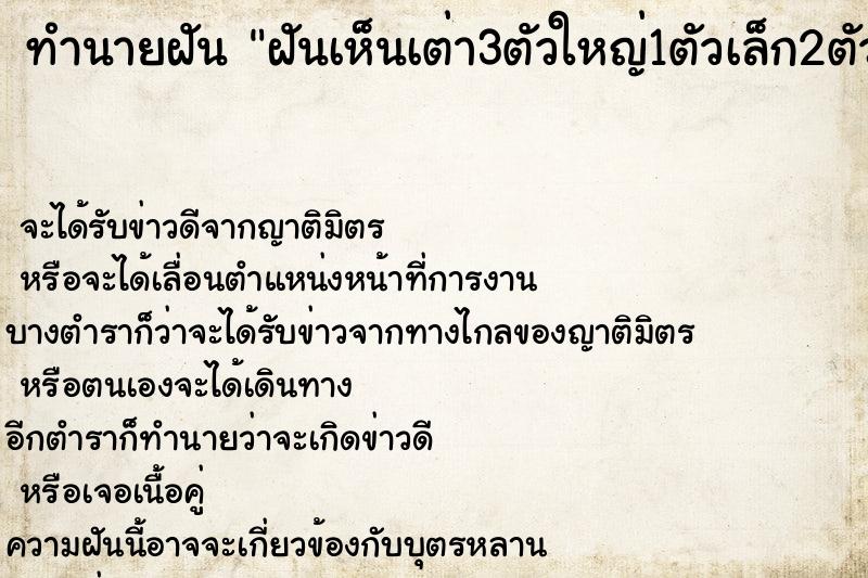 ทำนายฝัน ฝันเห็นเต่า3ตัวใหญ่1ตัวเล็ก2ตัว ทำนายฝัน ฝันเห็นเต่า3ตัวใหญ่1ตัวเล็ก2ตัว
