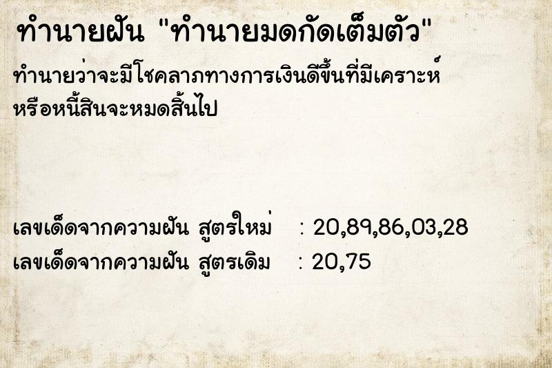 ทำนายฝันทำนายมดกัดเต็มตัว ทำนายฝันทำนายฝันทำนายมดกัดเต็มตัว