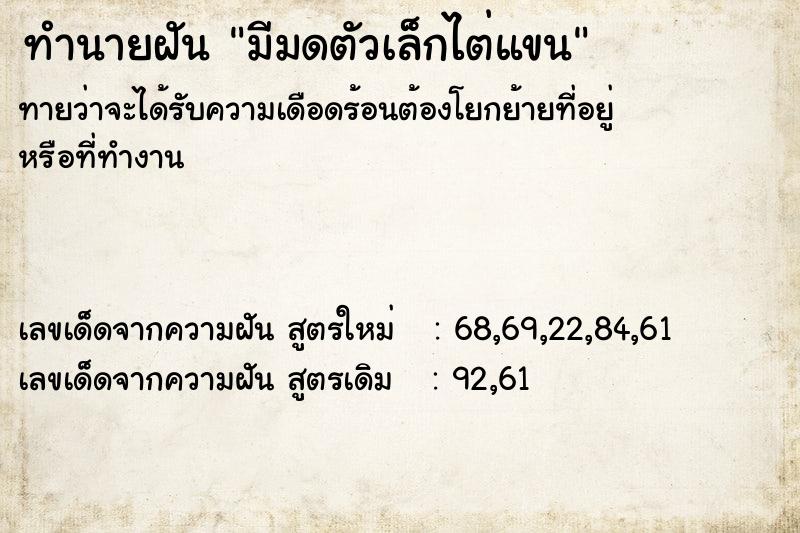 ทำนายฝันมีมดตัวเล็กไต่แขน ทำนายฝันทำนายฝันมีมดตัวเล็กไต่แขน