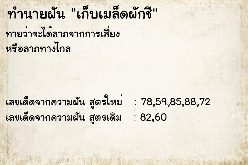 ทำนายฝันเก็บเมล็ดผักชี ทำนายฝันทำนายฝันเก็บเมล็ดผักชี