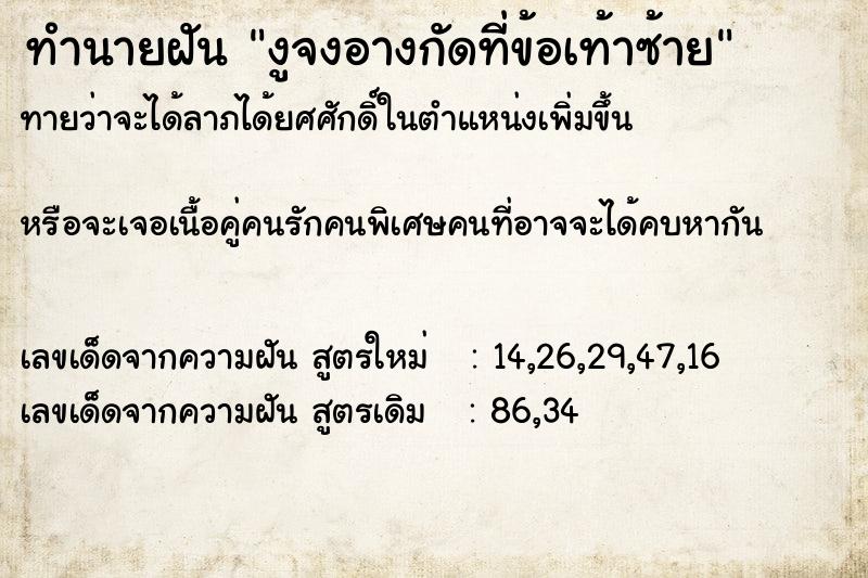 ทำนายฝันงูจงอางกัดที่ข้อเท้าซ้าย ทำนายฝันทำนายฝันงูจงอางกัดที่ข้อเท้าซ้าย