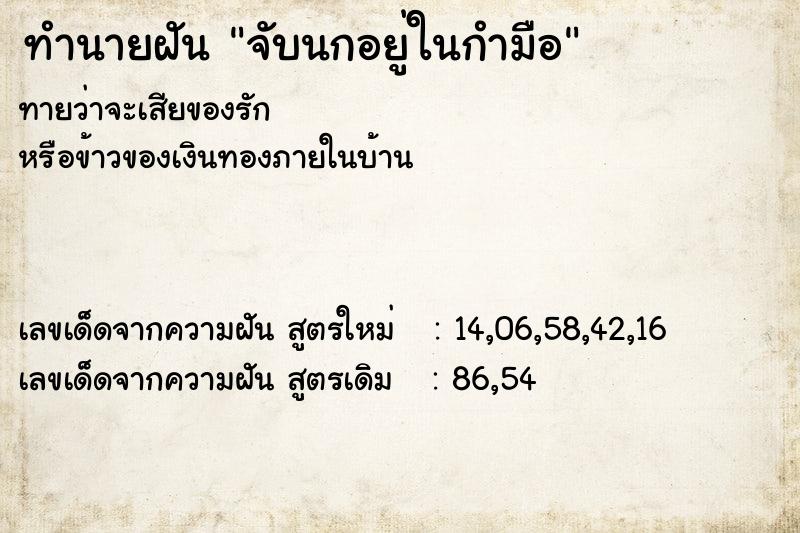 ทำนายฝัน จับนกอยู่ในกำมือ